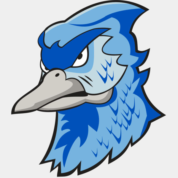 BLUEJAY HD0501 RQC Thumbnail