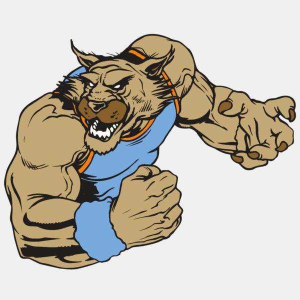 AR WILDCAT 46 RC Thumbnail