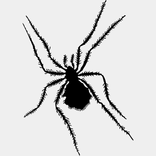 Spider Silhouette 9 Thumbnail