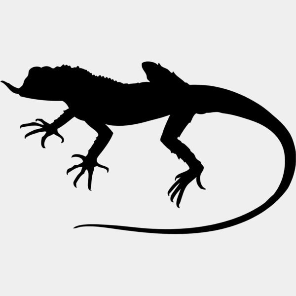 Lizard Silhouette 11 Thumbnail