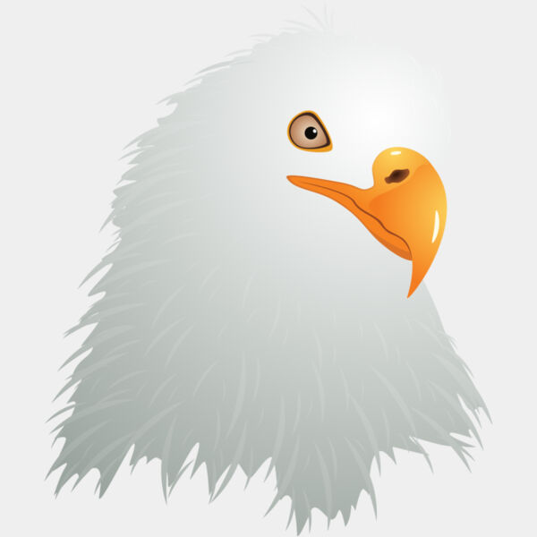 USA America Bald Eagle 6 Thumbnail
